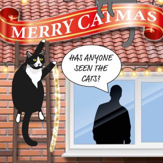 George and Lucas Merry Catmas