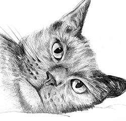Art prints and posters